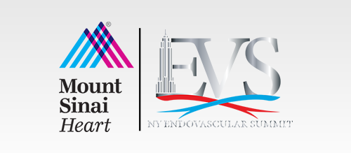 Mount Sinai Endovascular Fellows Course