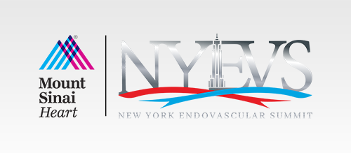 Mount Sinai Endovascular Fellows Course